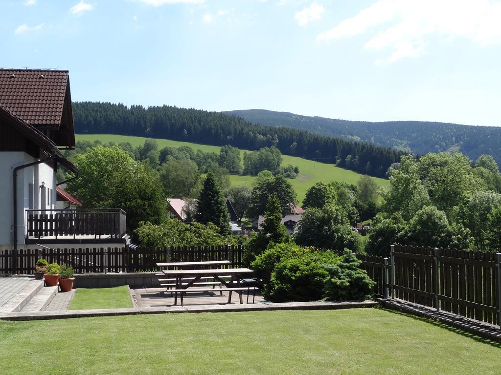 Arnika Destne v Orlickych horach